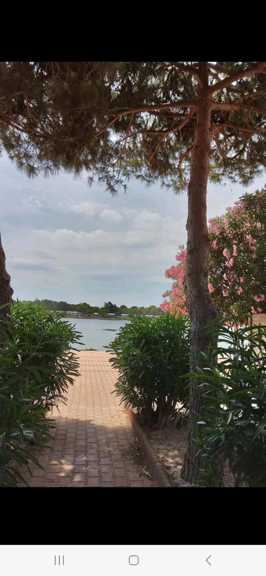 Villa 6P Piscine Spa Privatif Wifi Proche Des Plages Le Barcarès Extérieur photo